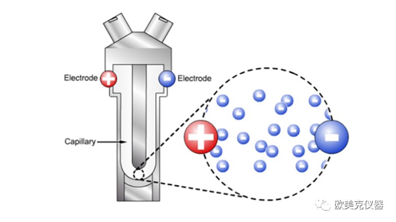 141904_891476_jswz.png 141904_891476_jswz.png