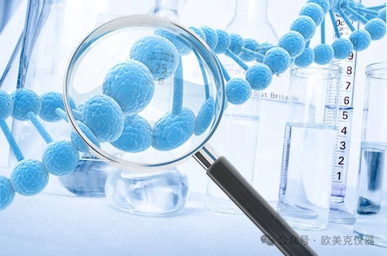 091921_524701_jswz.jpg 091921_524701_jswz.jpg