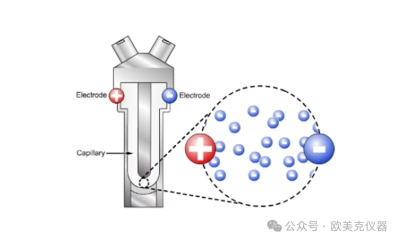 093145_303819_jswz.jpg 093145_303819_jswz.jpg