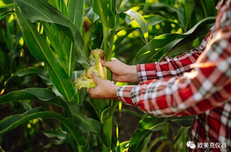 110606_687288_jswz.png 110606_687288_jswz.png