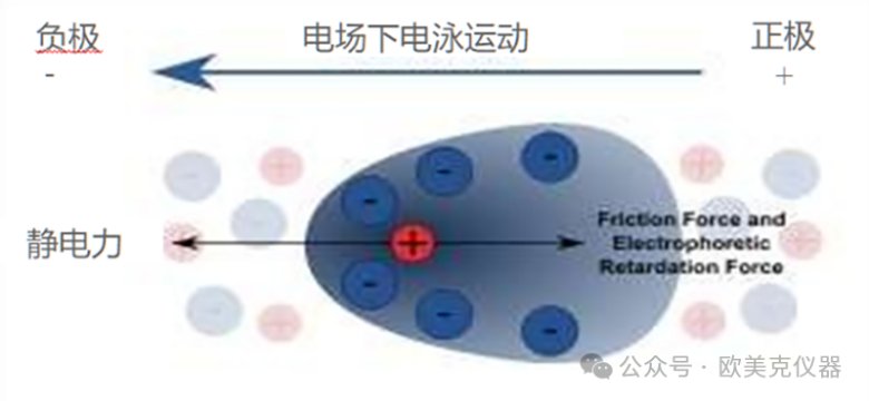 113700_081187_jswz.png 113700_081187_jswz.png